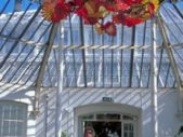 Chihuly_Kew-Gardens_Dale-with-Persian-Chandelier-232×350
